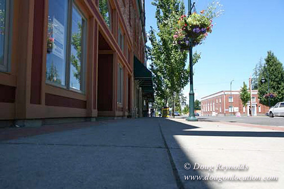 Forest Grove-5479