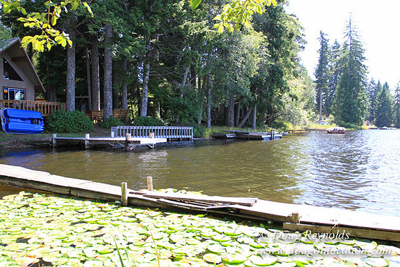 Richter Lake House-8439
