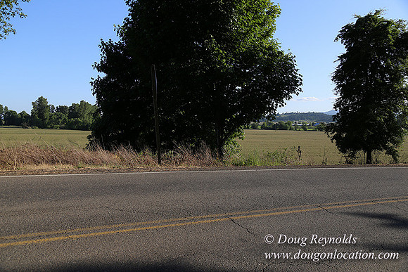 Moores Rd 2-7073
