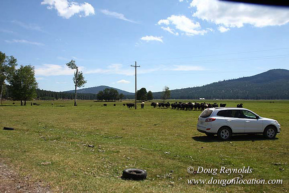 2500 Acres of green fields Creeks water crossing Bridges on a Large Lake and miles of Dirt roads Oak trees Forest land ATV Trails cows