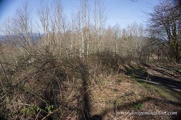 WFV Off Road-2967
