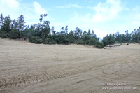 Houser Dune-4896