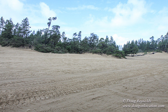 Houser Dune-4896