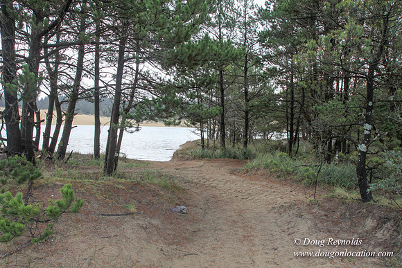 Houser Dune-4897
