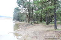 Houser Dune-4899