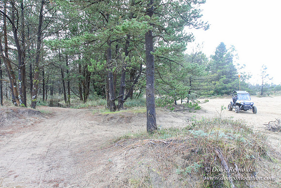 Houser Dune-4901