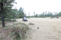 Houser Dune-4902