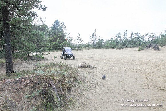 Houser Dune-4902