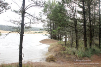 Houser Dune-4903