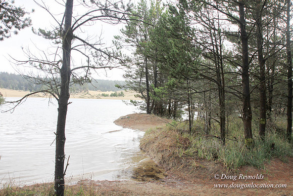 Houser Dune-4903