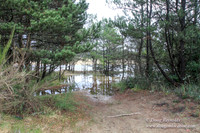 Houser Dune-4905