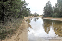 Houser Dune-4906
