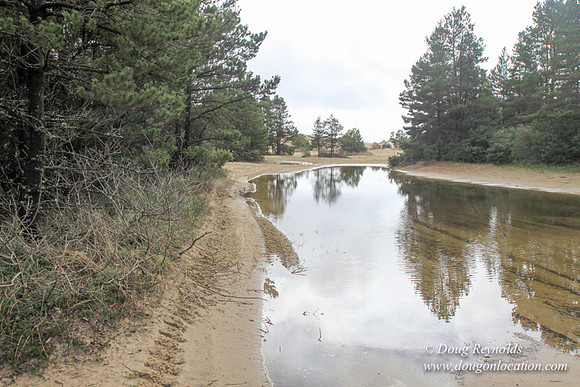 Houser Dune-4906