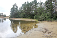 Houser Dune-4907