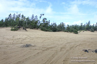 Houser Dune-4908