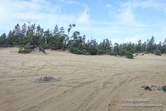 Houser Dune-4908