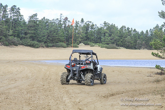 Houser Dune-4910