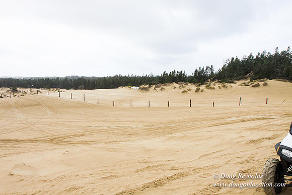 Houser Dune-4915