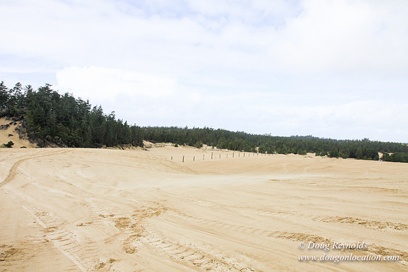 Houser Dune-4917