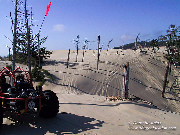 Honda Dunes 03-8415