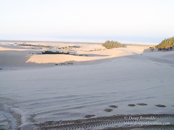Oregon Dunes sz_8520