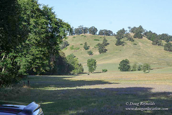 Ranch 14 Oregon