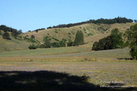 Ranch 14 Oregon