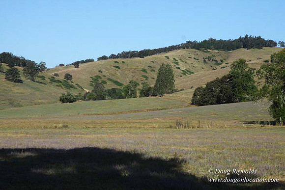 Ranch 14 Oregon