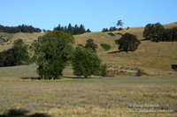 Ranch 14 Oregon