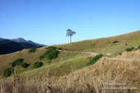 Ranch 14 Oregon