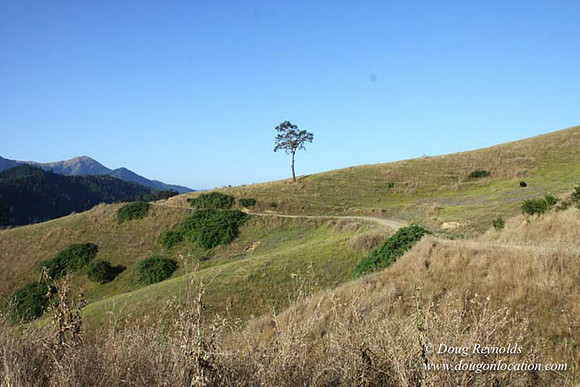 Ranch 14 Oregon