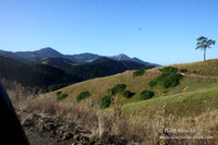 Ranch 14 Oregon
