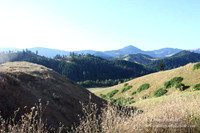Ranch 14 Oregon