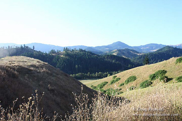Ranch 14 Oregon