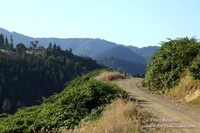 Ranch 14 Oregon