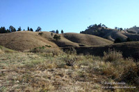 Ranch 14 Oregon