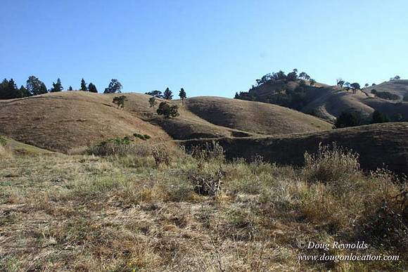 Ranch 14 Oregon