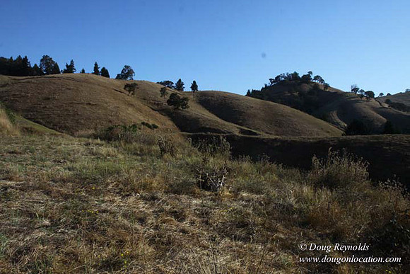Ranch 14 Oregon