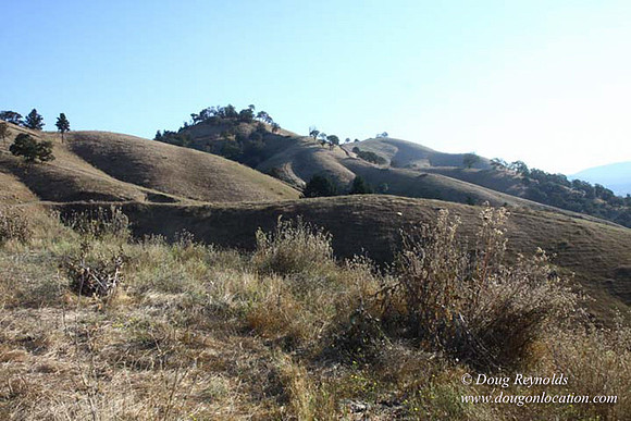 Ranch 14 Oregon