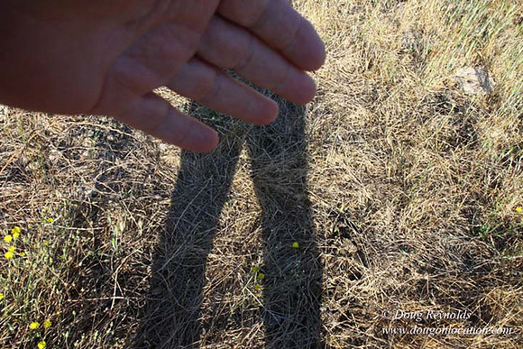 Ranch 14 Oregon