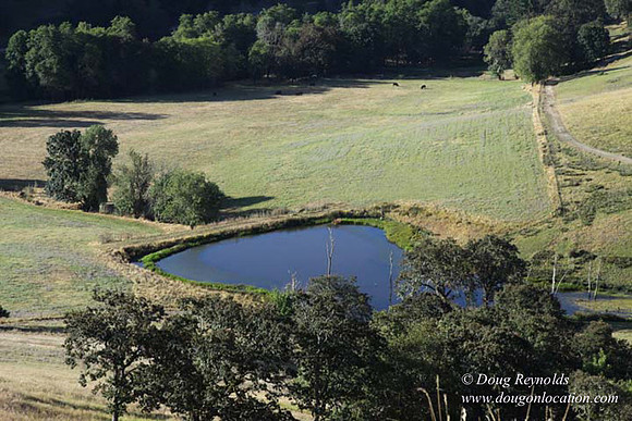 Ranch 14 Oregon