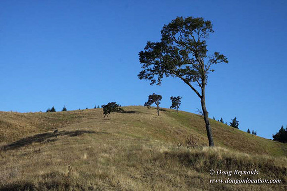 Ranch 14 Oregon