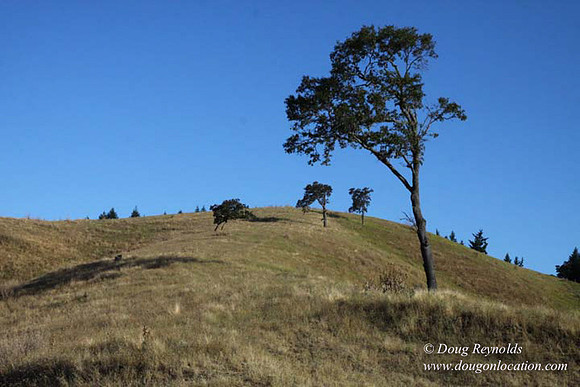 Ranch 14 Oregon