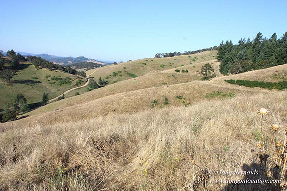 Ranch 14 Oregon