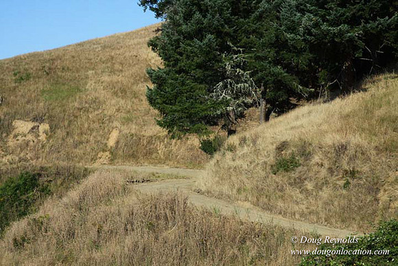 Ranch 14 Oregon