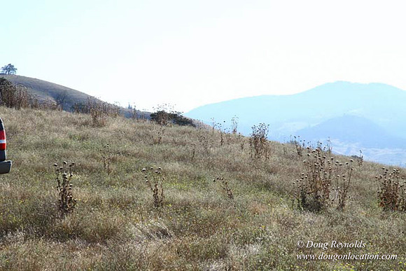 Ranch 14 Oregon