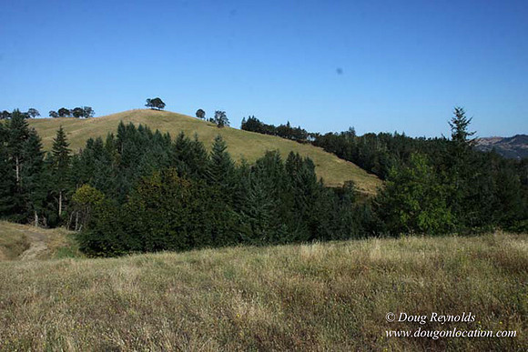 Ranch 14 Oregon