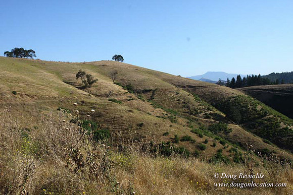 Ranch 14 Oregon