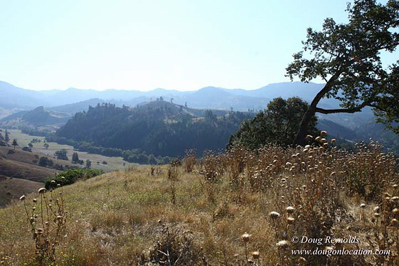 Ranch 14 Oregon