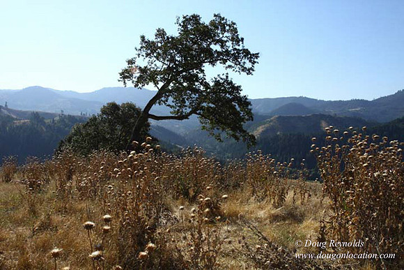 Ranch 14 Oregon